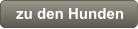 zu den Hunden