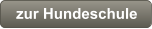 zur Hundeschule