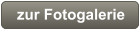 zur Fotogalerie