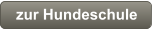 zur Hundeschule
