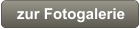 zur Fotogalerie